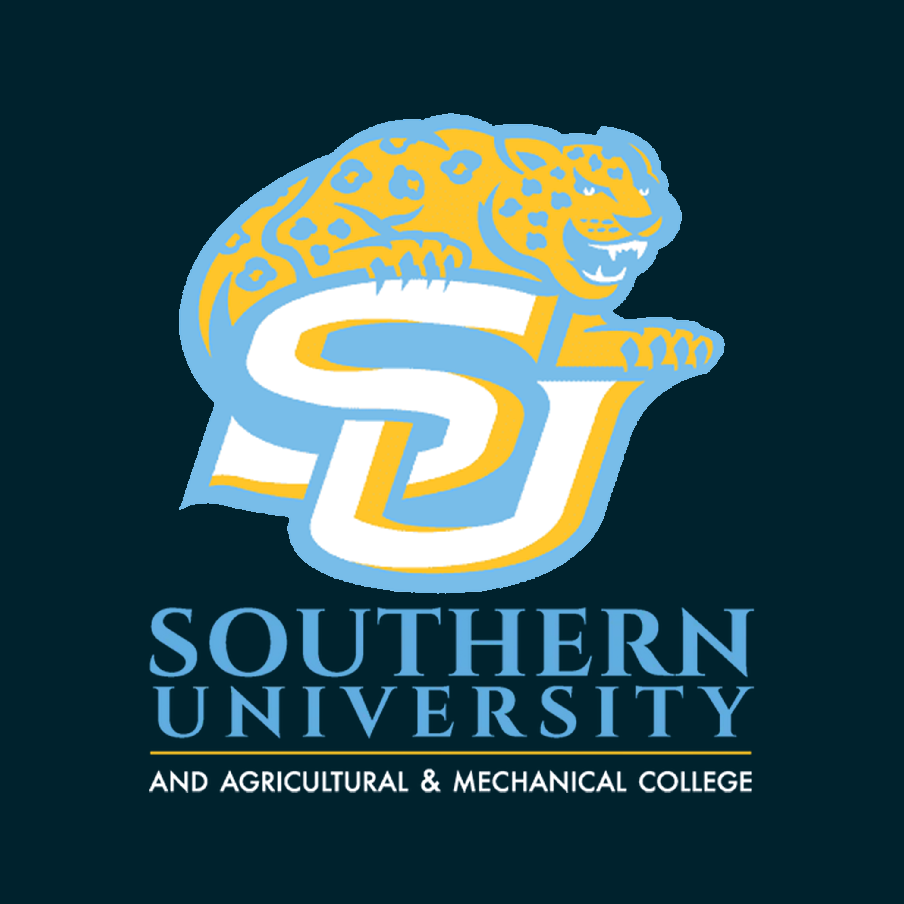 Southern University