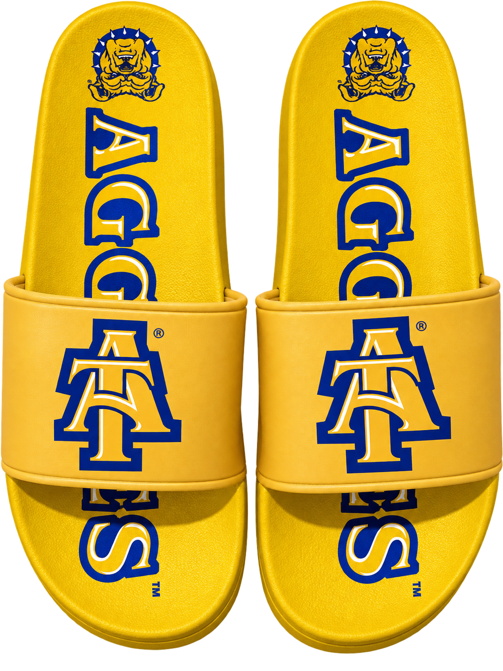 NCAT Officially Licensed Comfortable Quality HBCU Slides
