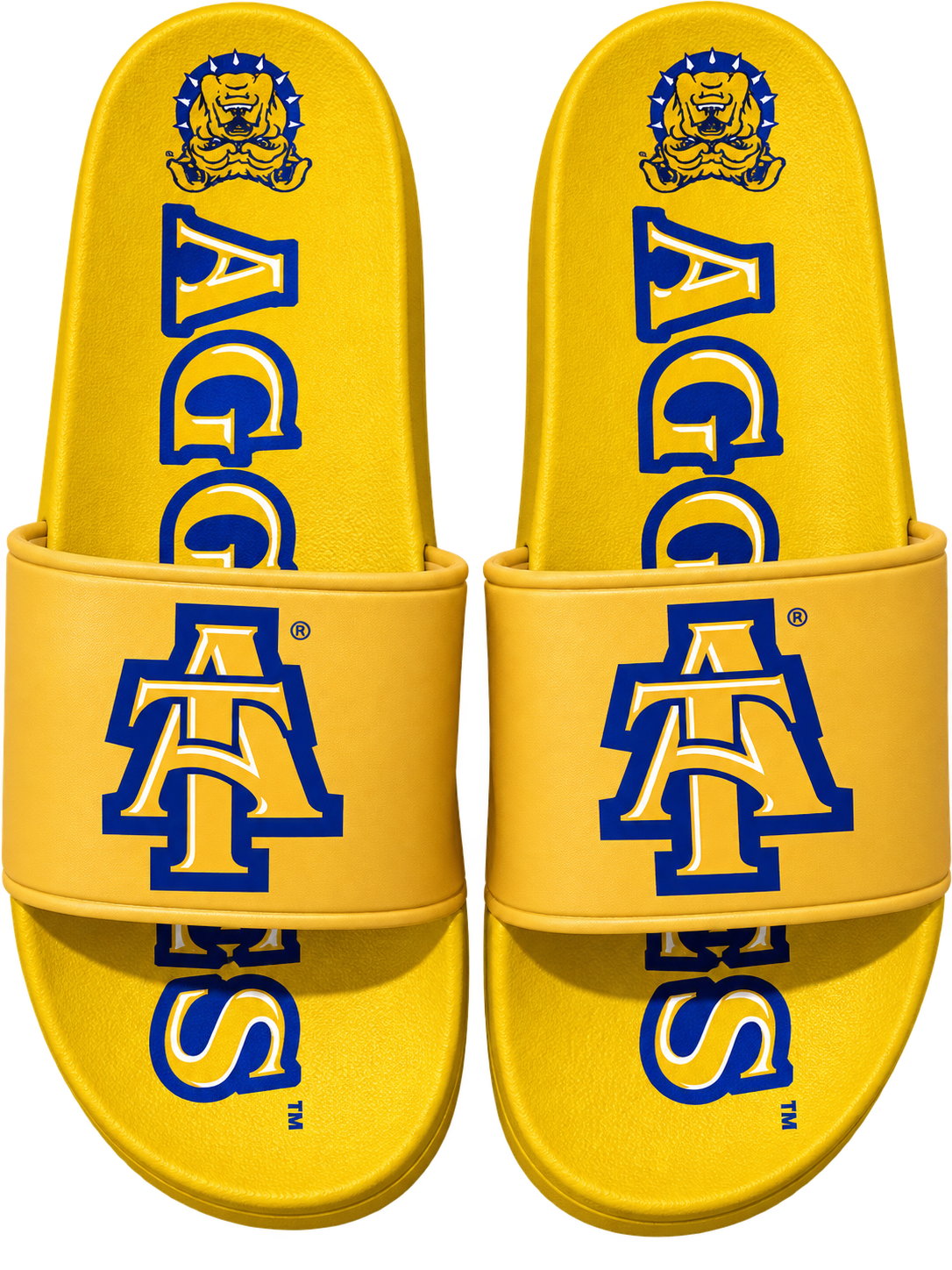 NCAT Officially Licensed Comfortable Quality HBCU Slides