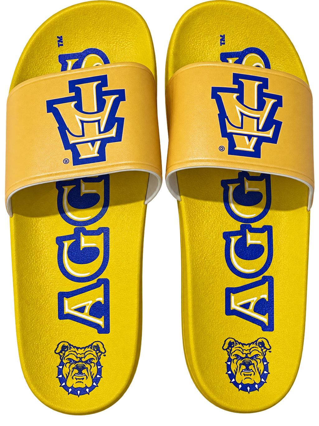 NCAT Officially Licensed Comfortable Quality HBCU Slides