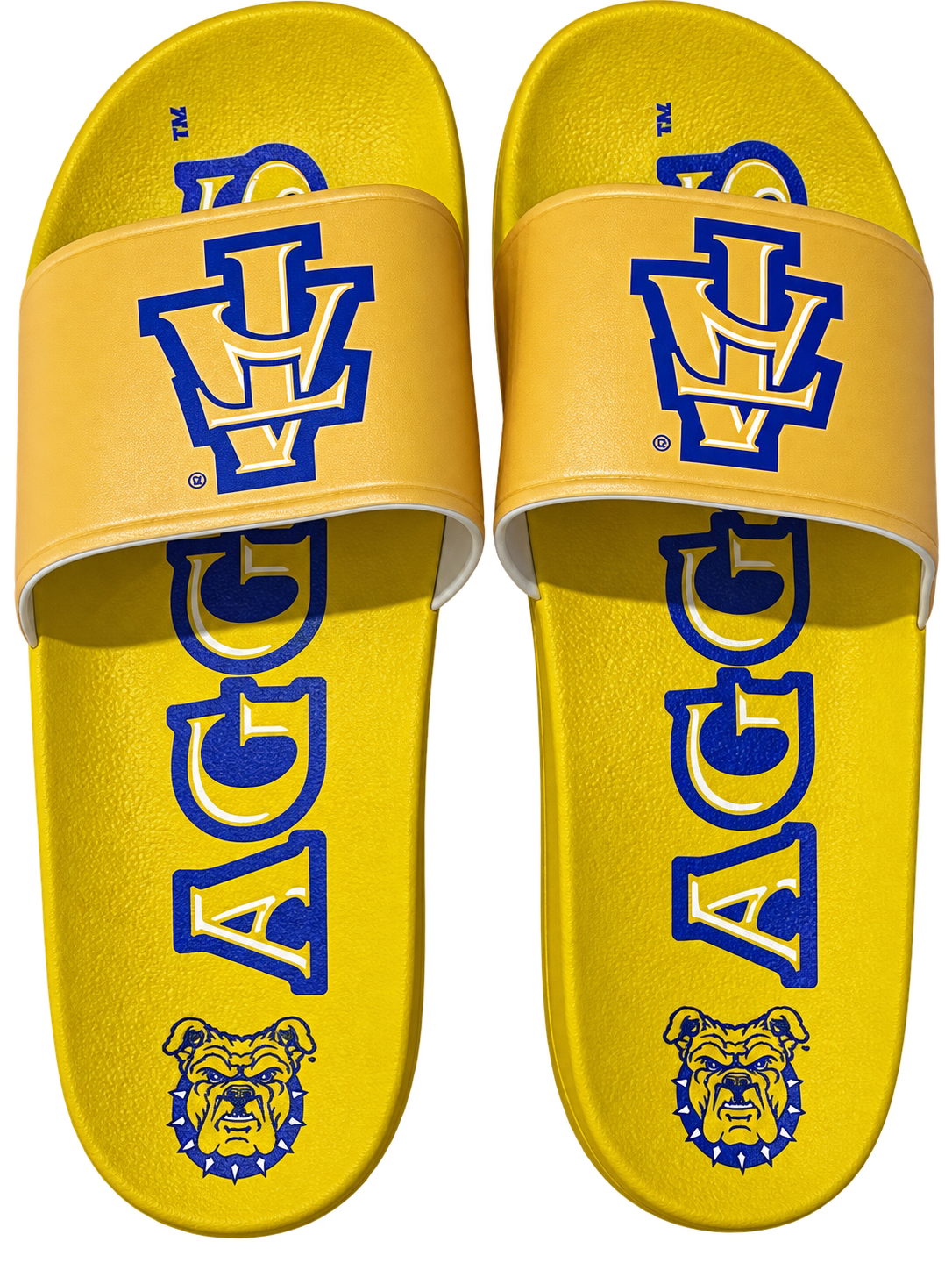 NCAT Officially Licensed Comfortable Quality HBCU Slides