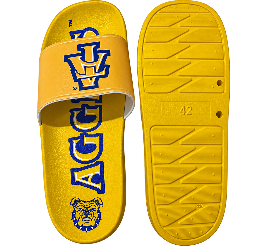 NCAT Officially Licensed Comfortable Quality HBCU Slides