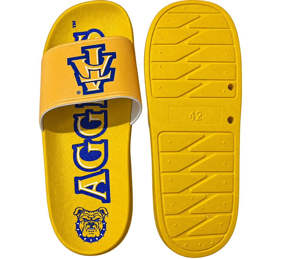 NCAT Officially Licensed Comfortable Quality HBCU Slides